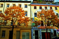 /album/www-pix-fx-de/bild-812-jpg/